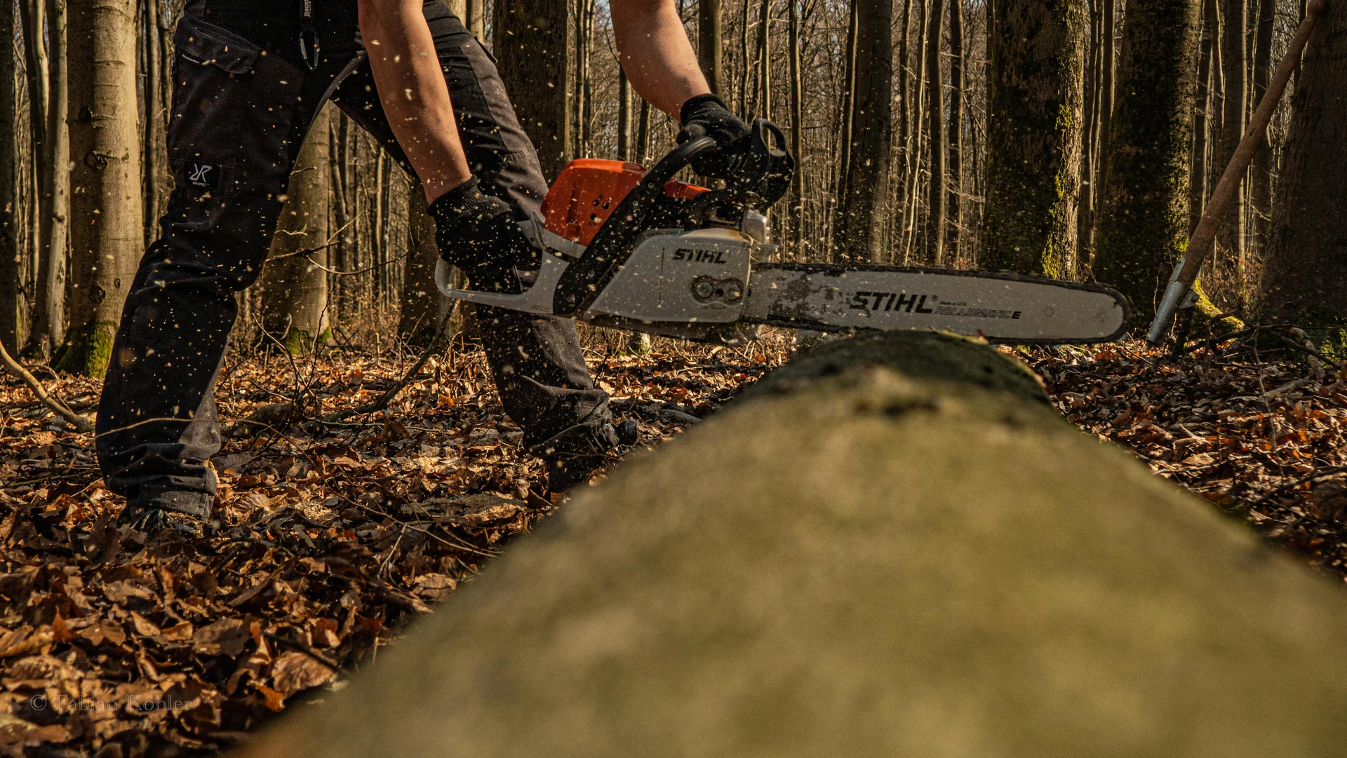 Contractor using rental chainsaw on a job site, same-day tool rental from Rogers Rental in Kamloops, BC