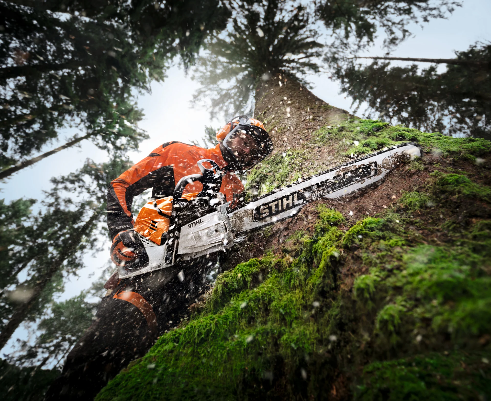 Stihl chainsaw in forestry action, available at Wawa Rent-All